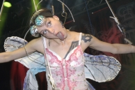 Flying High Tribe Show